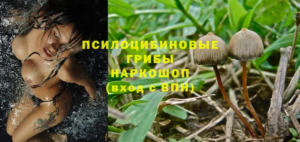 гашиш Богданович