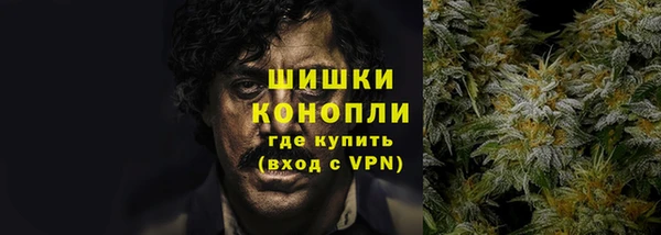 шишки Беломорск