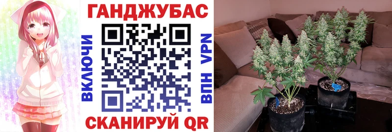 Конопля OG Kush Велиж